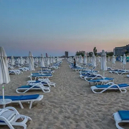Pasific Holiday ساني بيتش